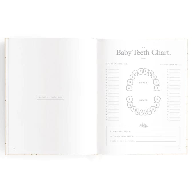 Baby Book Broderie Boxed - For Mum