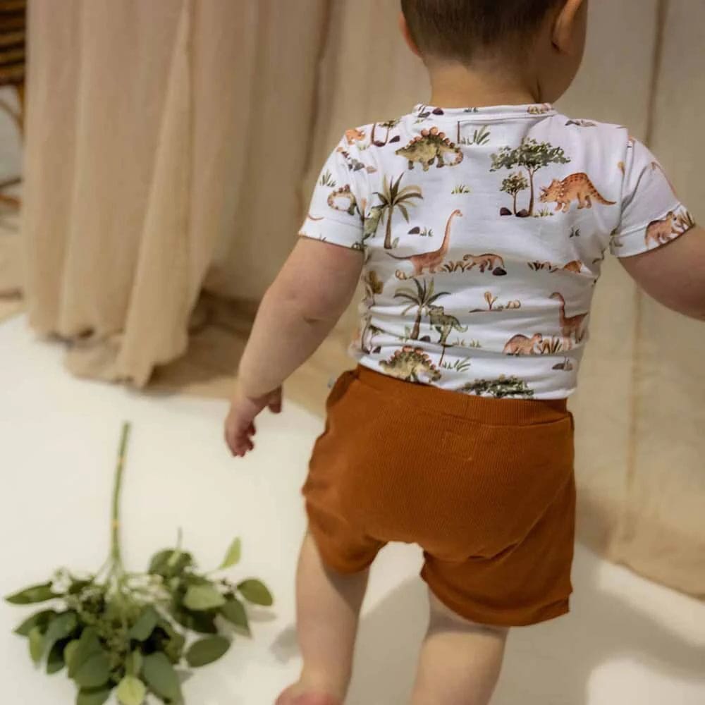 Biscuit Organic Shorts - Boys Baby Clothing