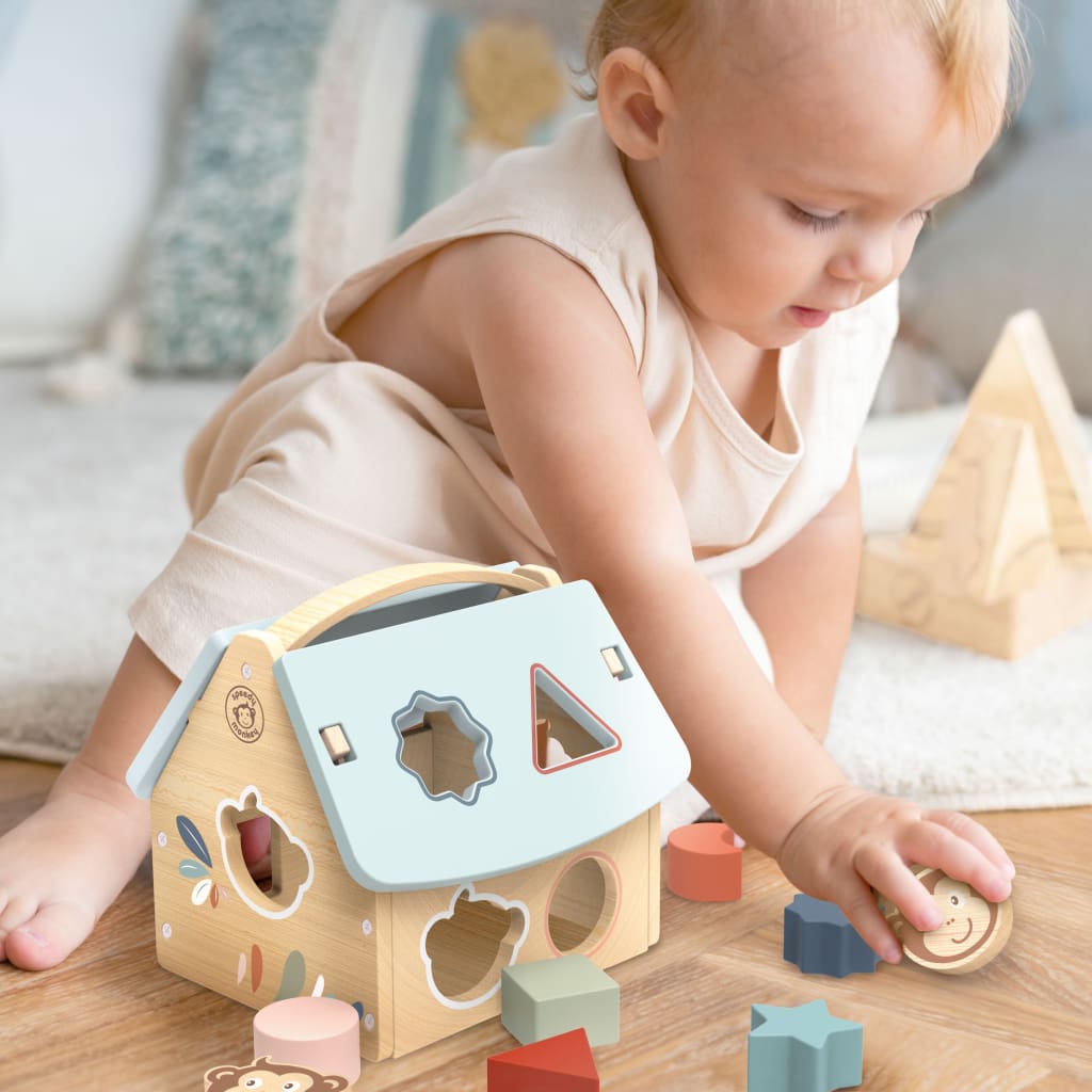 House Shape Sorter with 8 Blocks - Sorting & Stacking