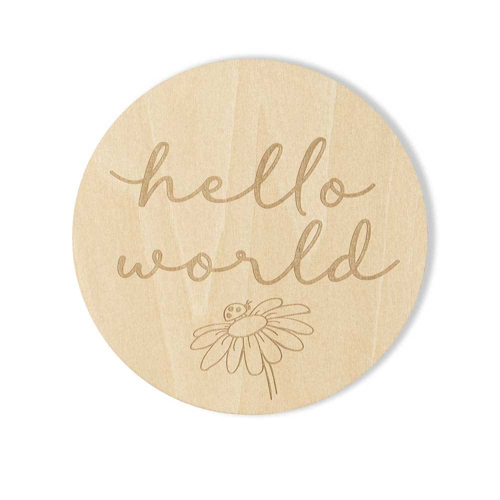 Ladybug Wooden Milestone Cards - Birth Announcements