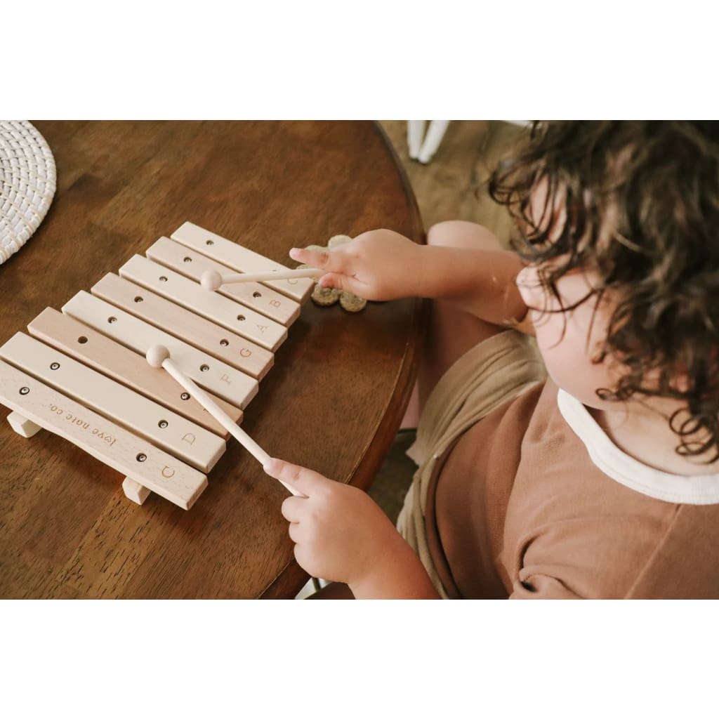 Little Notes Xylophone - Musical Instruments