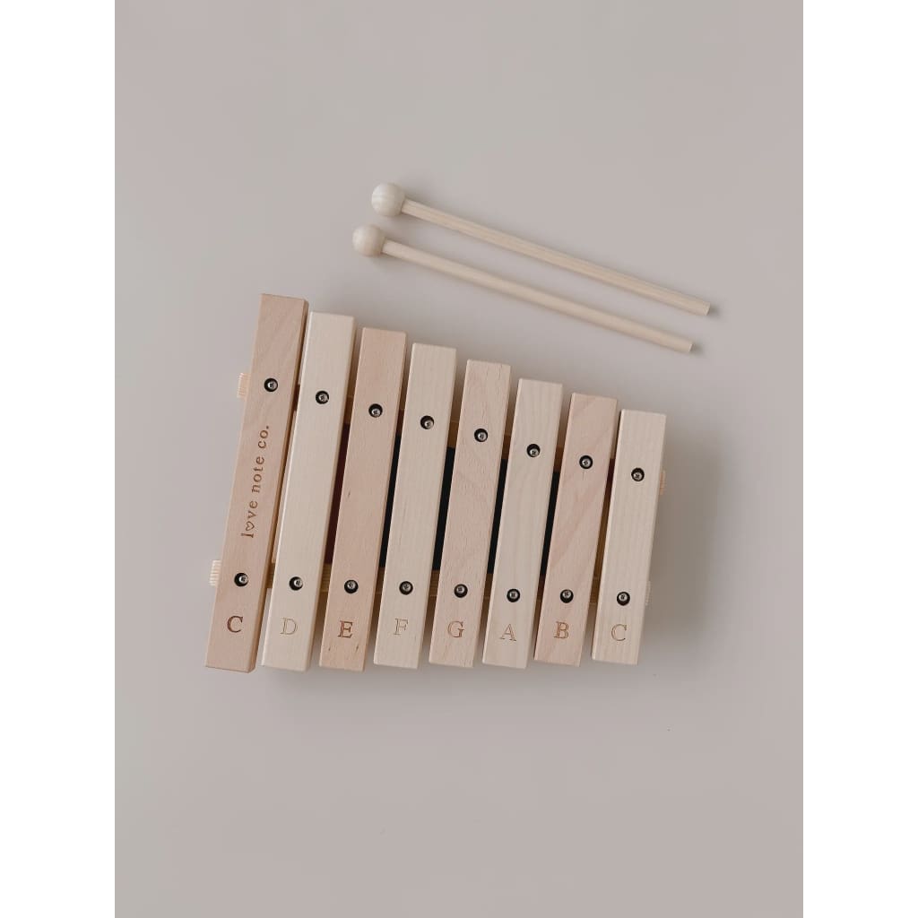Little Notes Xylophone - Musical Instruments