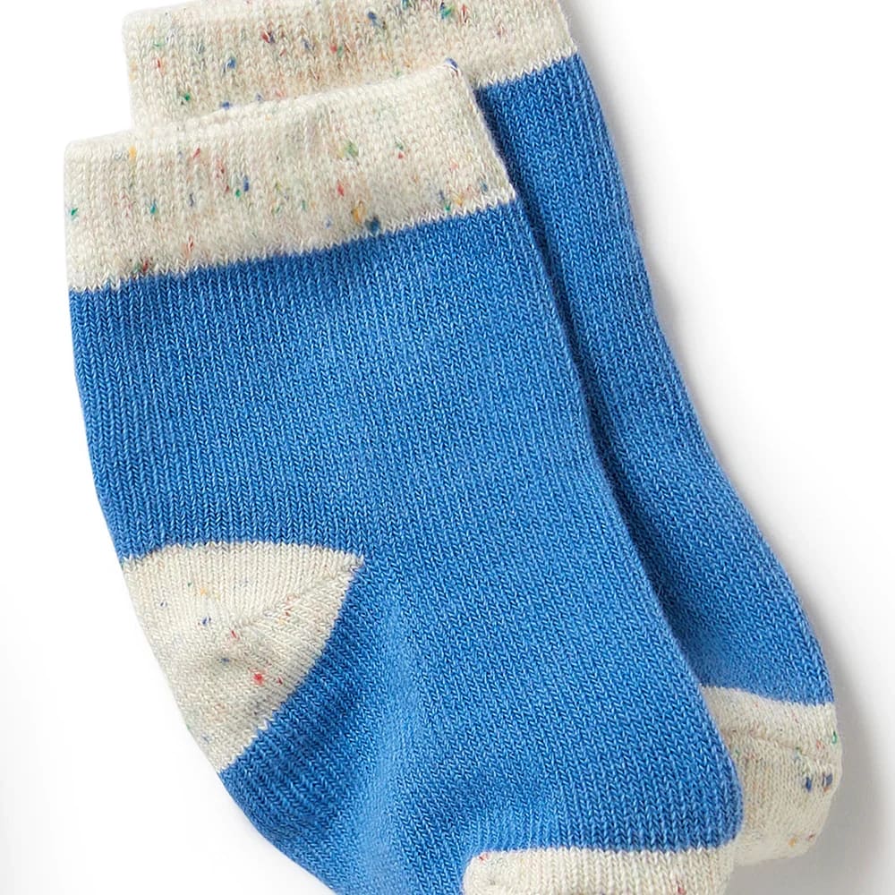 Organic 3 Pack Baby Socks - Endive Bluebell Blue