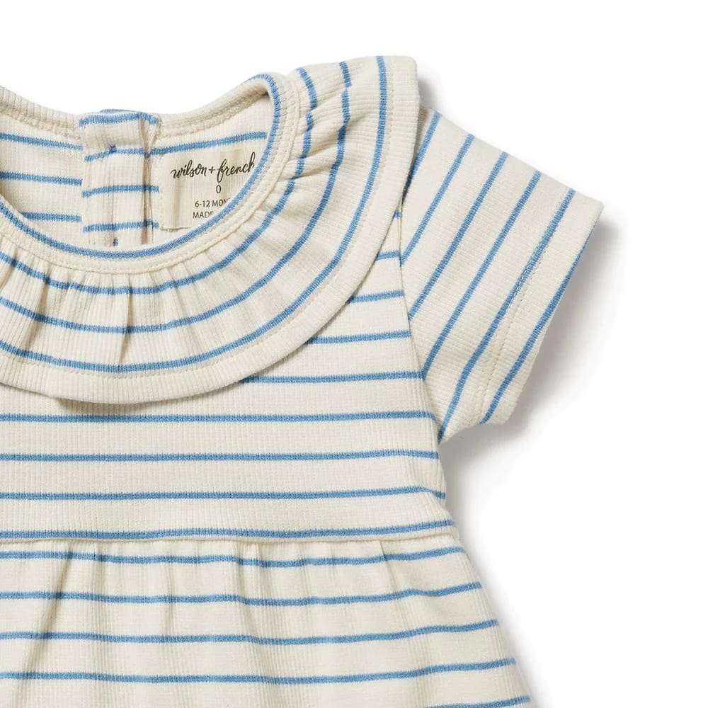 Petit Blue Organic Ruffle Dress - Girls Baby Clothing