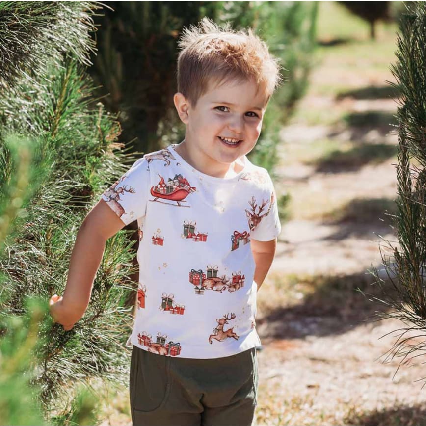 Reindeer Organic T-Shirt - Boys Baby Clothing