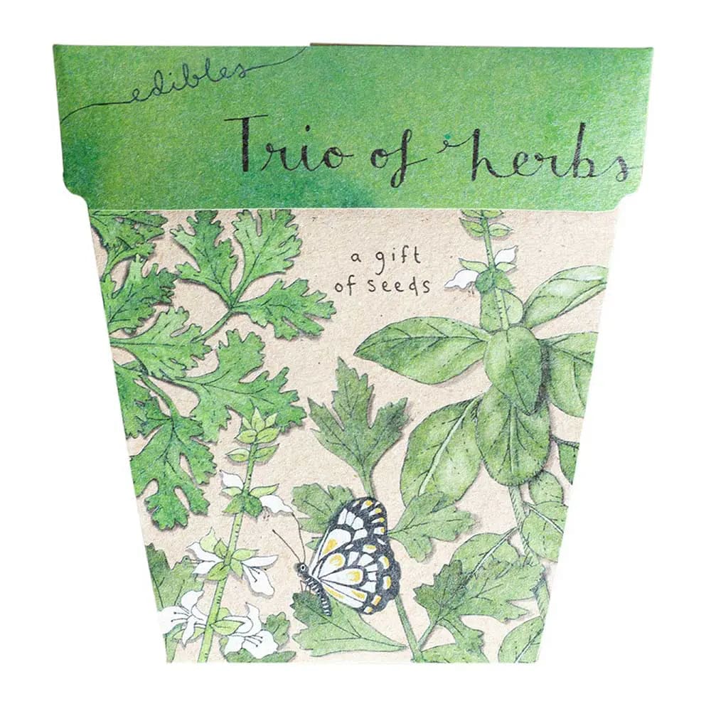 Trio of Herbs Gift of Seeds - play