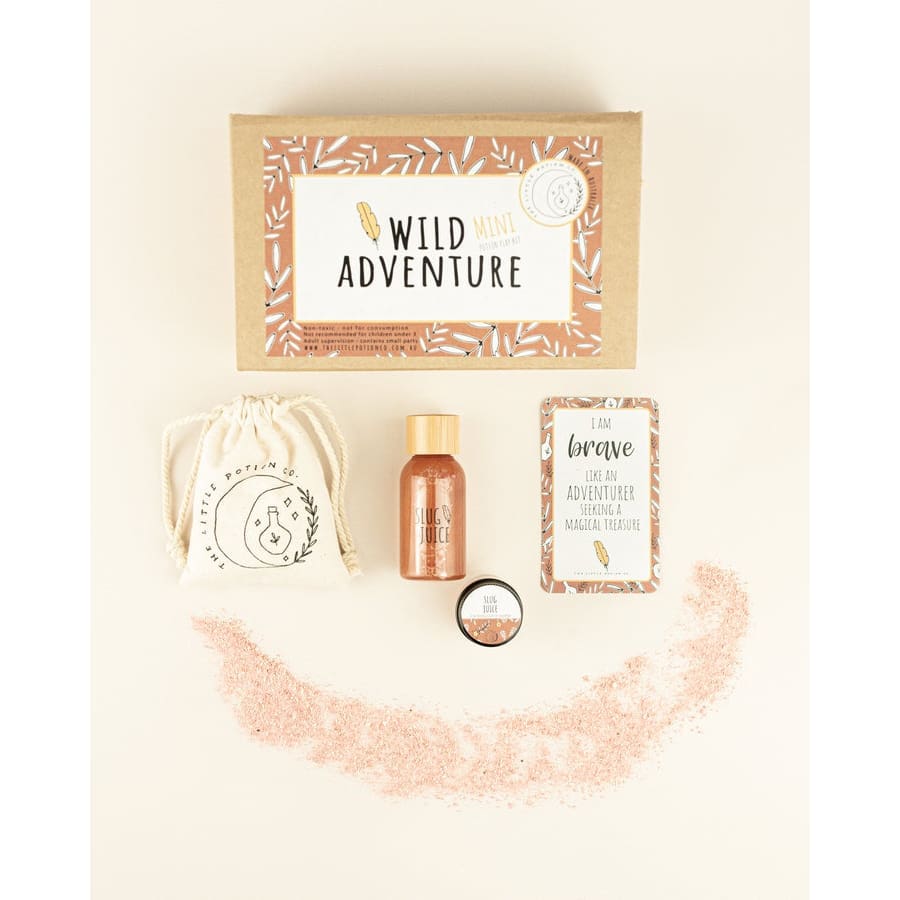 Wild Adventure Mini Kit - Arts & Craft