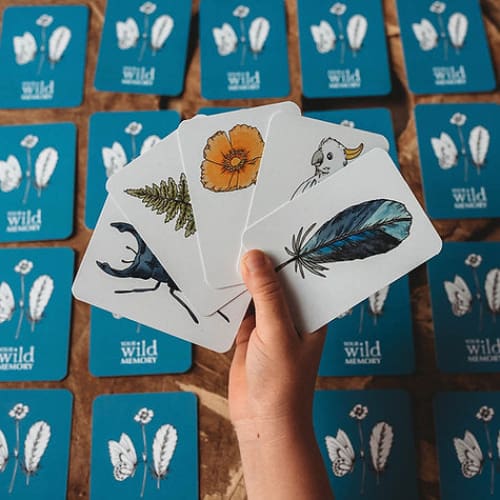 Your Wild Memory Card Game - Books