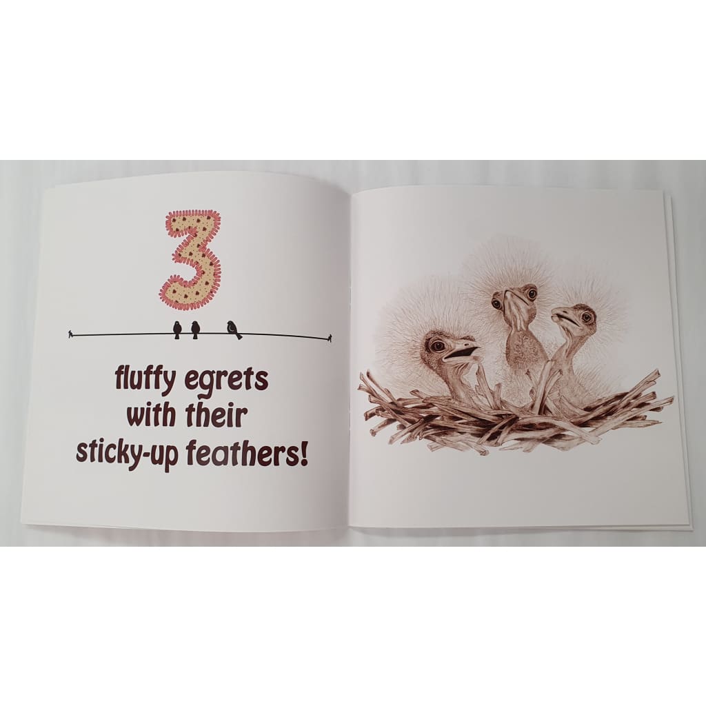 A 123 of Baby Birds Book - Books