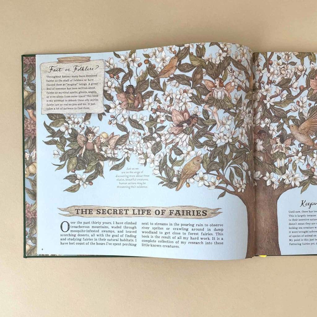 A Natural History of Fairies - Books