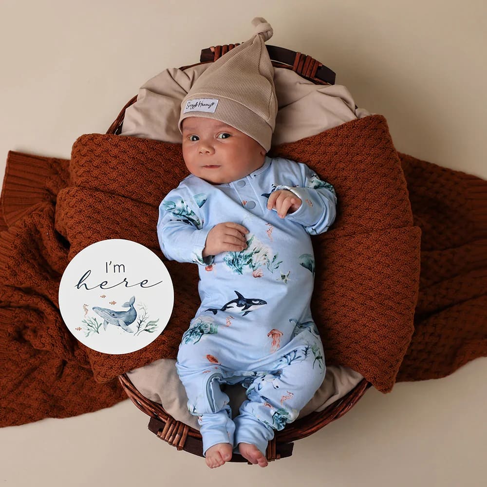 Blue Ocean Organic Growsuit - Baby Boy Clothing