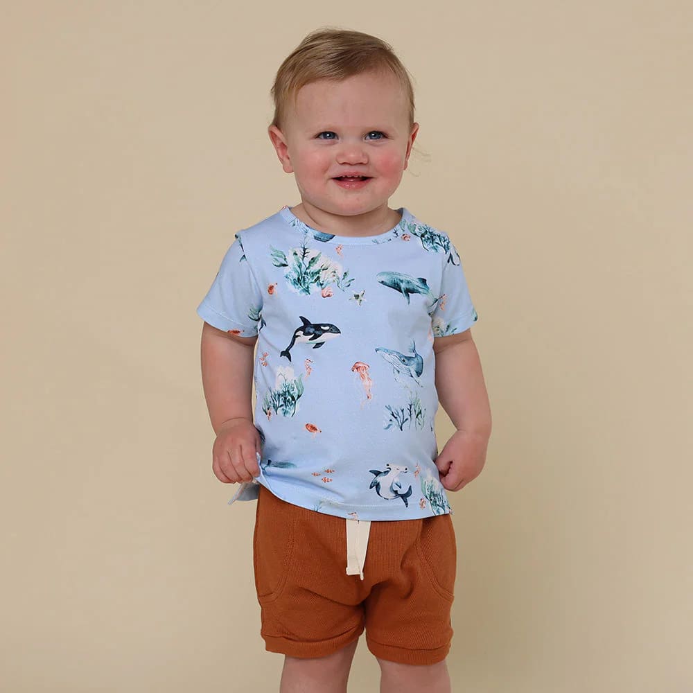 Blue Ocean Organic T-Shirt - Baby Boy Clothing