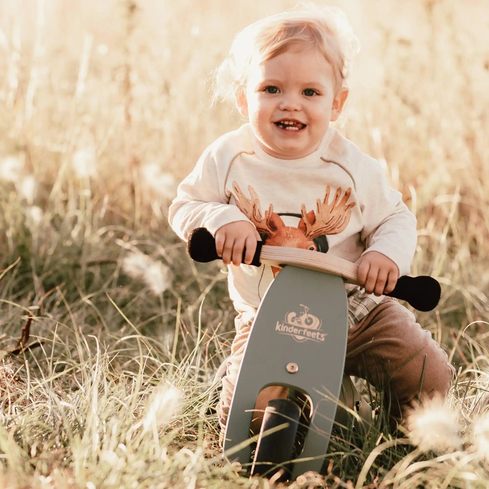 Child’s wooden balance bike.