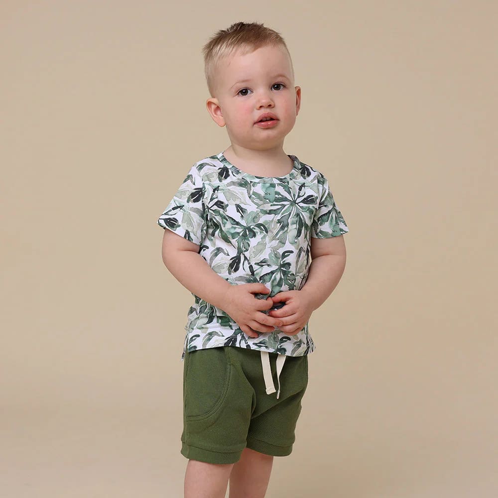 Evergreen Organic T-Shirt - Baby Boy Clothing