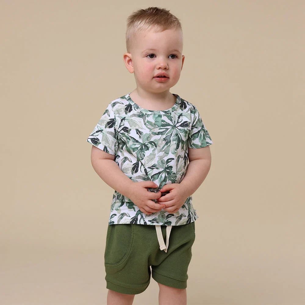 Evergreen Organic T-Shirt - Baby Boy Clothing