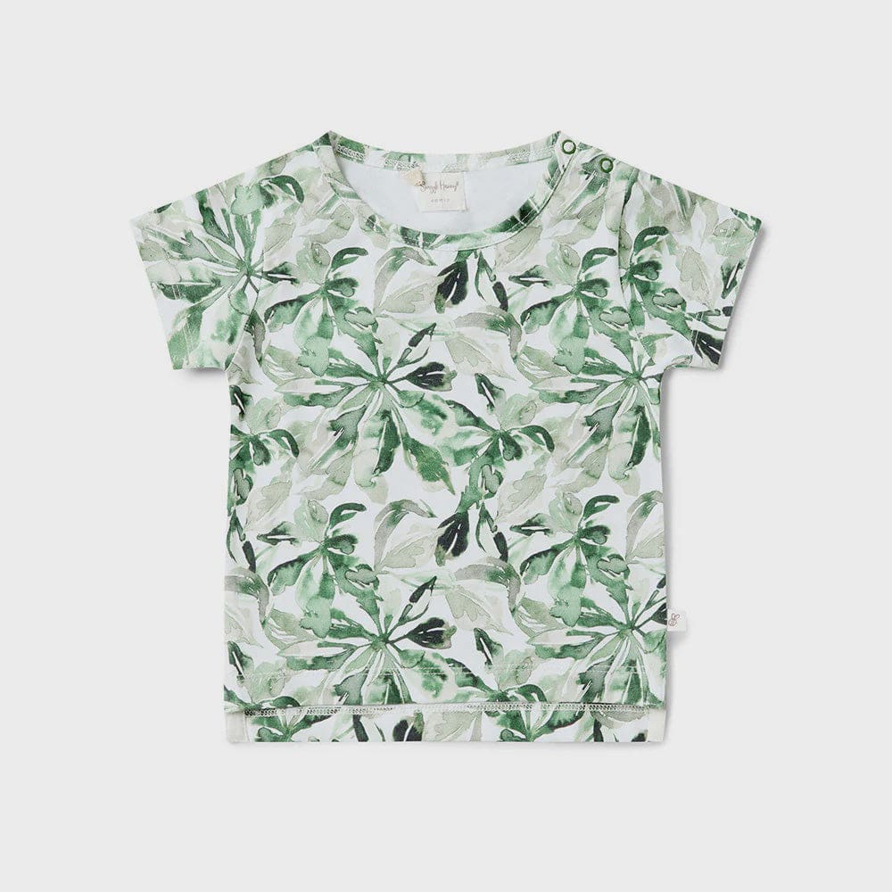 Evergreen Organic T-Shirt - Baby Boy Clothing