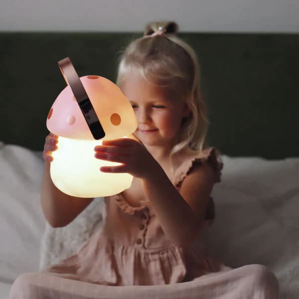 Fairy Carry Lantern - Wooden Toys