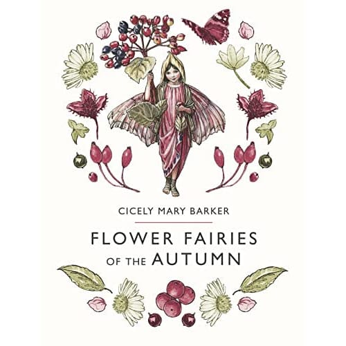 Flower Fairies of the Autumn: Hb - All Books