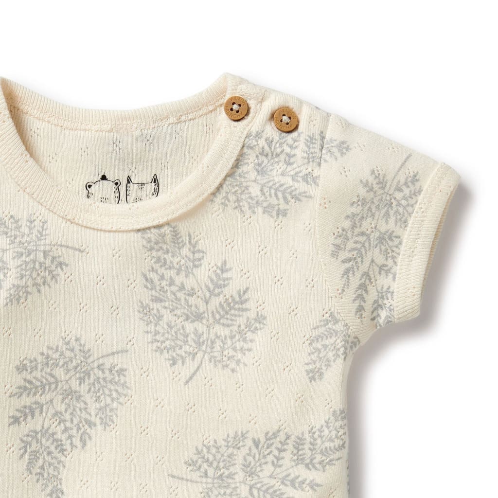 Forever Ferns Organic Pointelle Bodysuit - Baby Boy Clothing