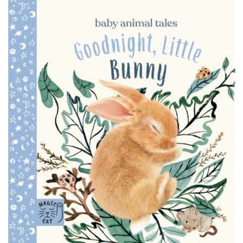 Goodnight Little Bunny - All Books