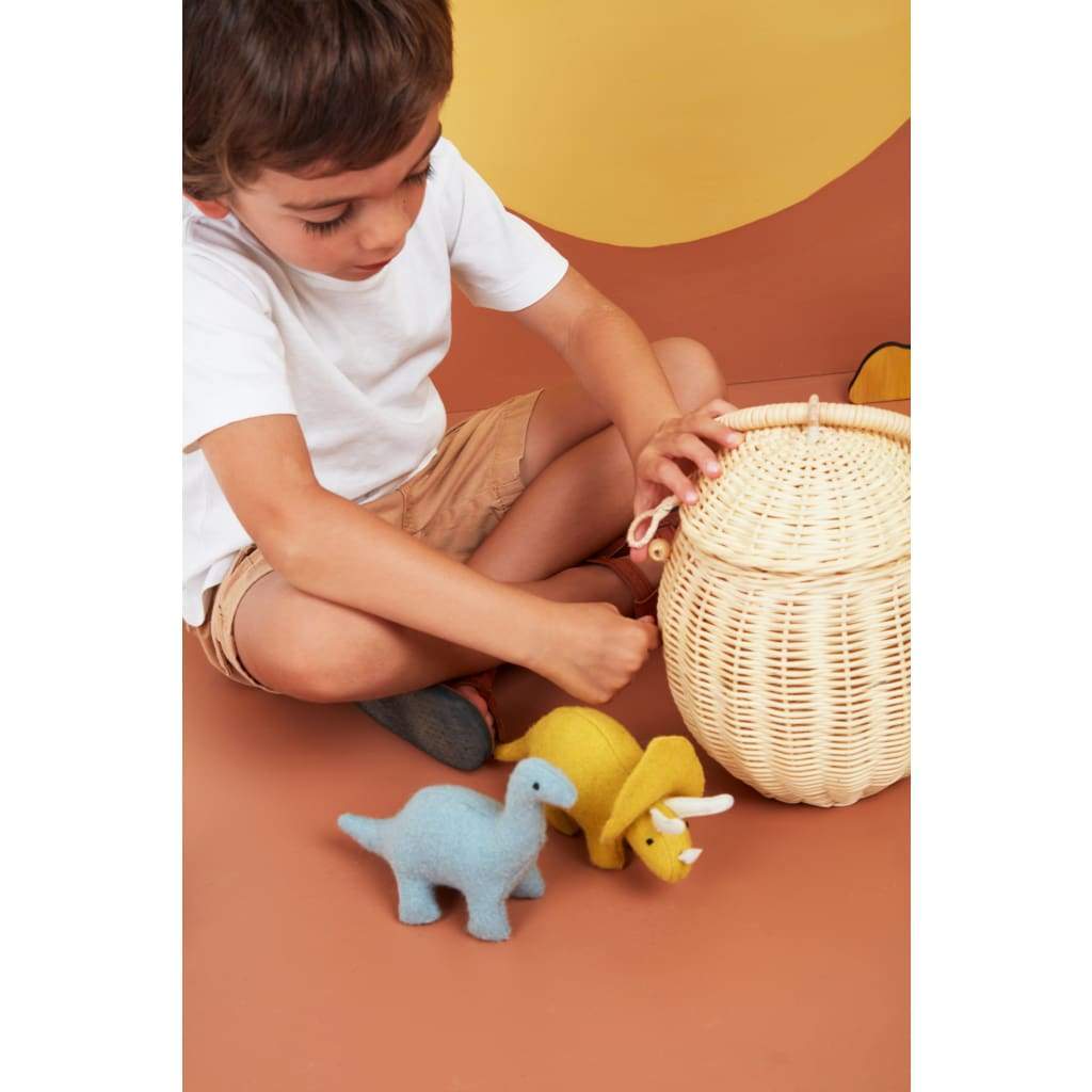 Holdie Folk Dinosaurs - Play&gt;Educational Toys