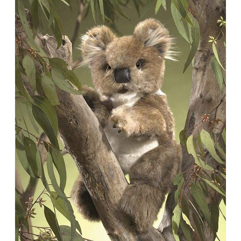 Koala Puppet - play