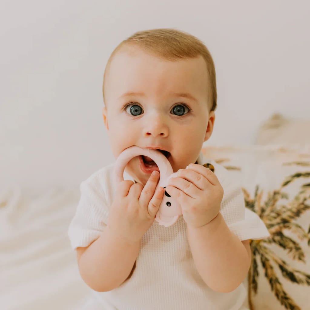 Koala Teether Various Colours - Teething Toys