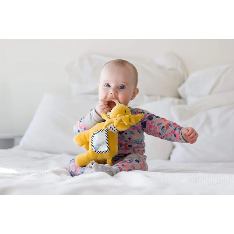 Lion Activity Toy - Soft Toys