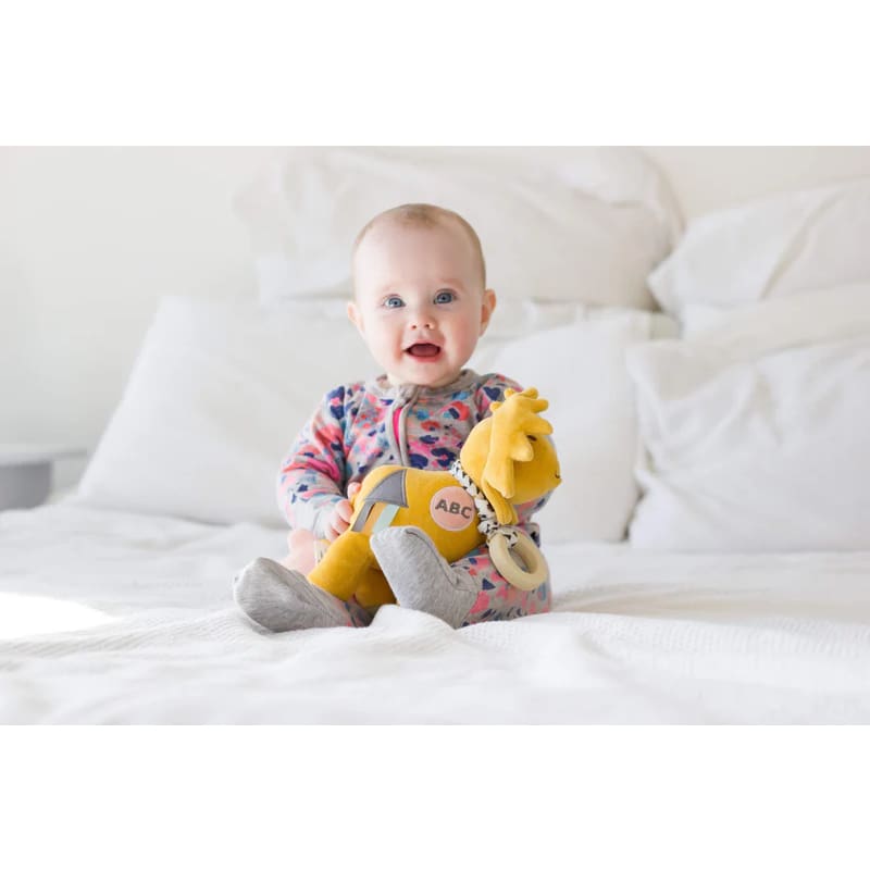 Lion Activity Toy - Soft Toys