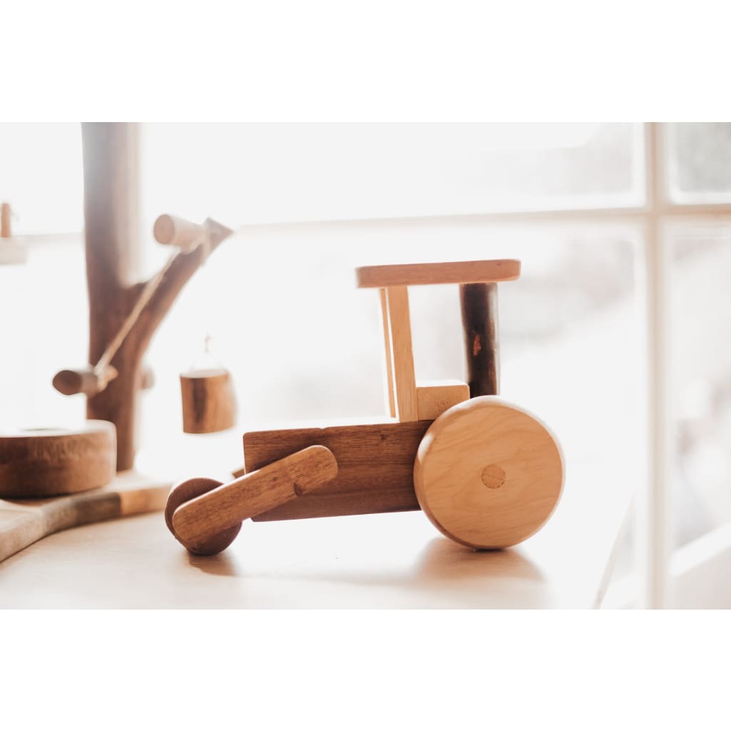 Natural Timber Steam Roller - Wooden Toys