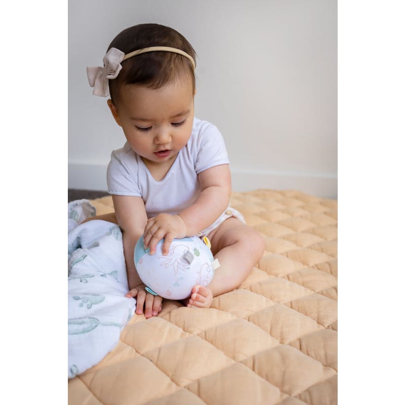 Ocean Organic Activity Ball - Soft Toys