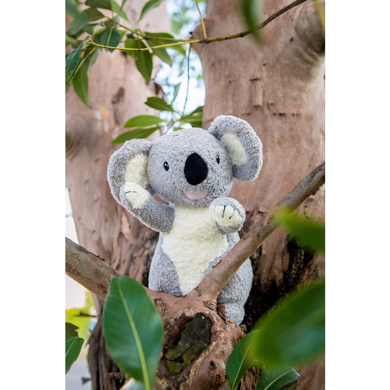 Organic Koala Plush Toy - Toys