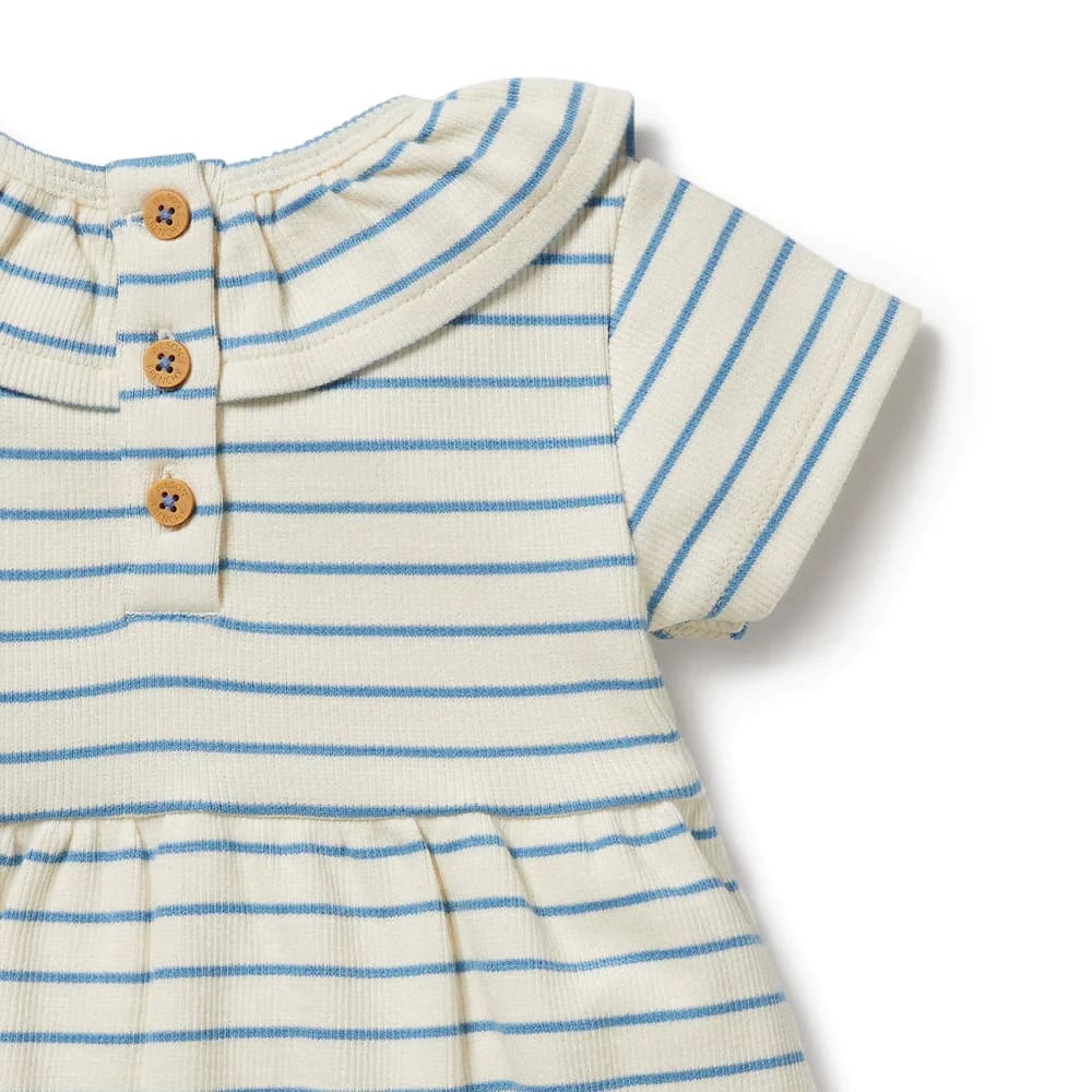 Petit Blue Organic Ruffle Dress - Girls Baby Clothing