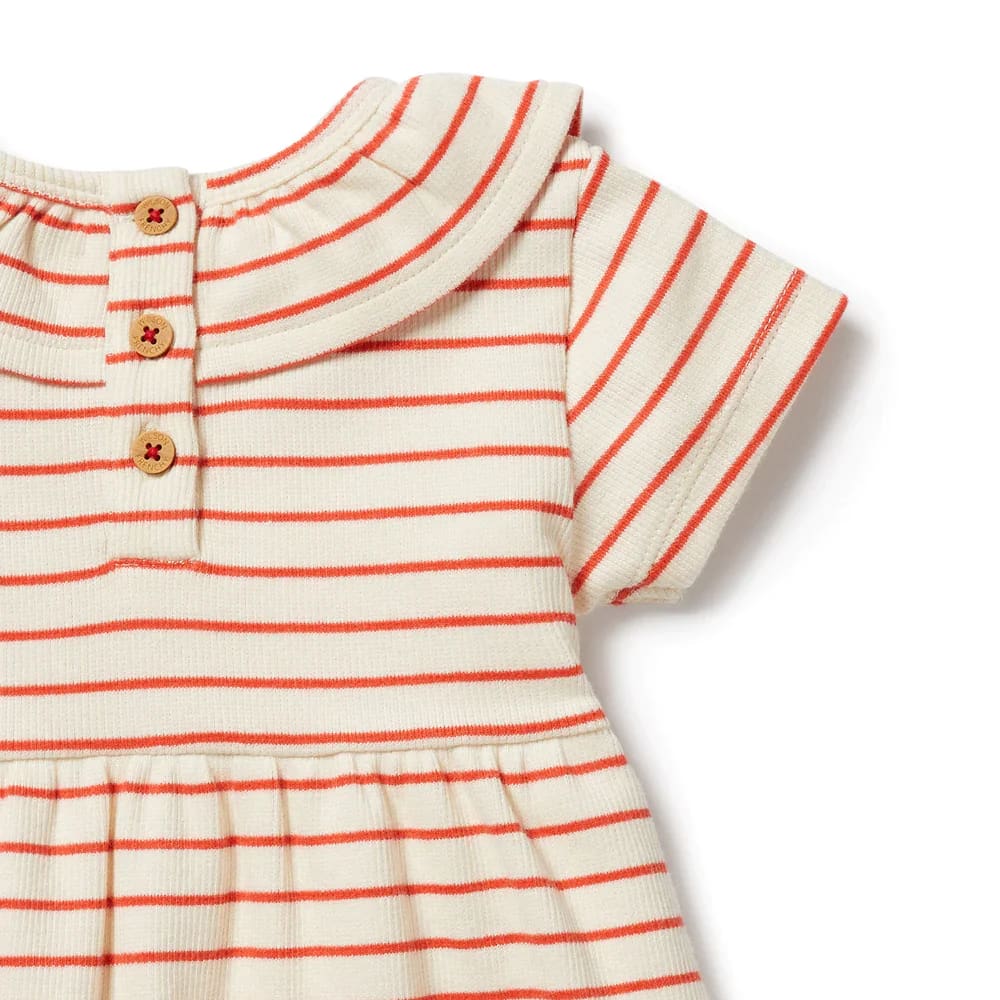 Petit Rouge Organic Ruffle Dress - Girls Baby Clothing