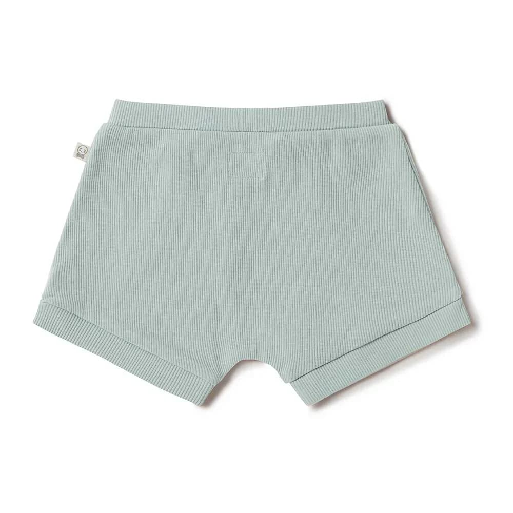 Sage Organic Shorts - Boys Baby Clothing