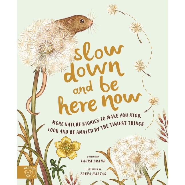Slow Down and Be Here Now - Books