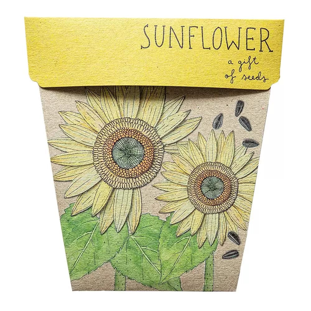 Sunflower Gift of Seeds - play