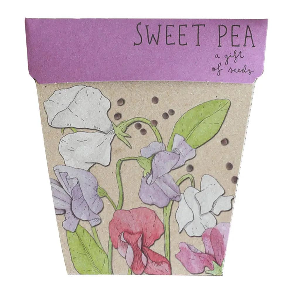 Sweet Pea Gift of Seeds - play