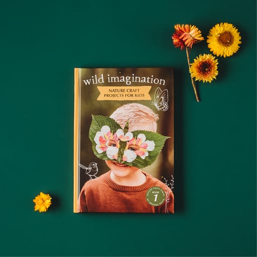 Your Wild Imagination Book - Books