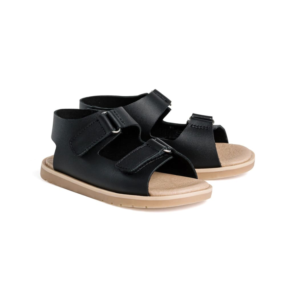 Wilder Sandal - Black - Shoes
