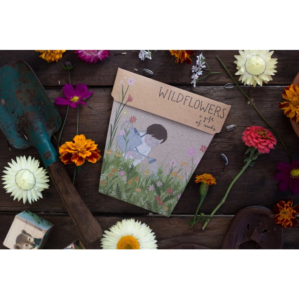 Wildflowers Gift of Seeds - play