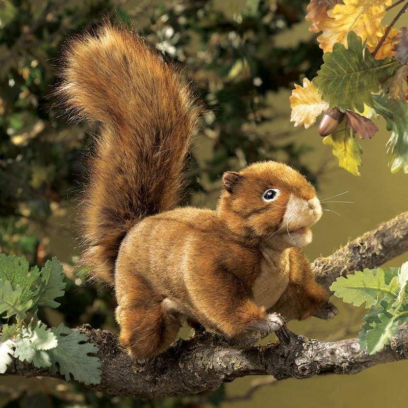 Red Squirrel Puppet - play